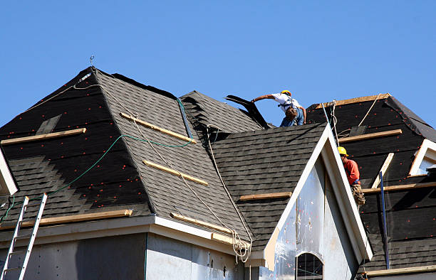 Best Roof Gutter Cleaning  in Osceola, IN