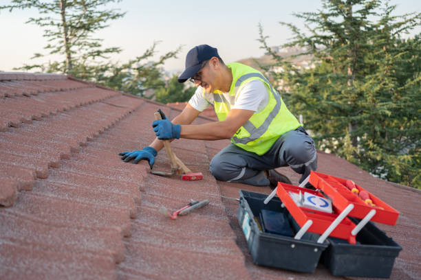 Best Roof Leak Repair  in Osceola, IN